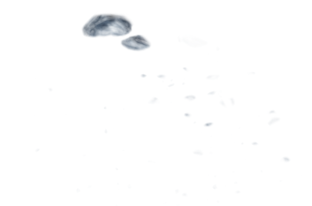 bubble